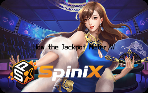 How the Jackpot Meter WorksThe Jackpot Meter accumulates funds from player bets